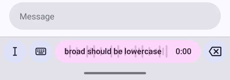 The voice pill turned pink, showing the instruction: broad should be lowercase.